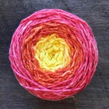 Cormo Worsted Gradient