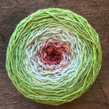 Cormo Sport Gradient