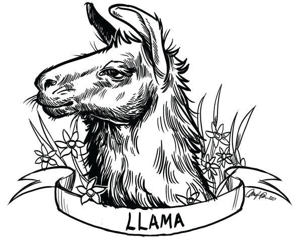 Sheep Breed & Fiber Friends Organic Cotton Project Bag